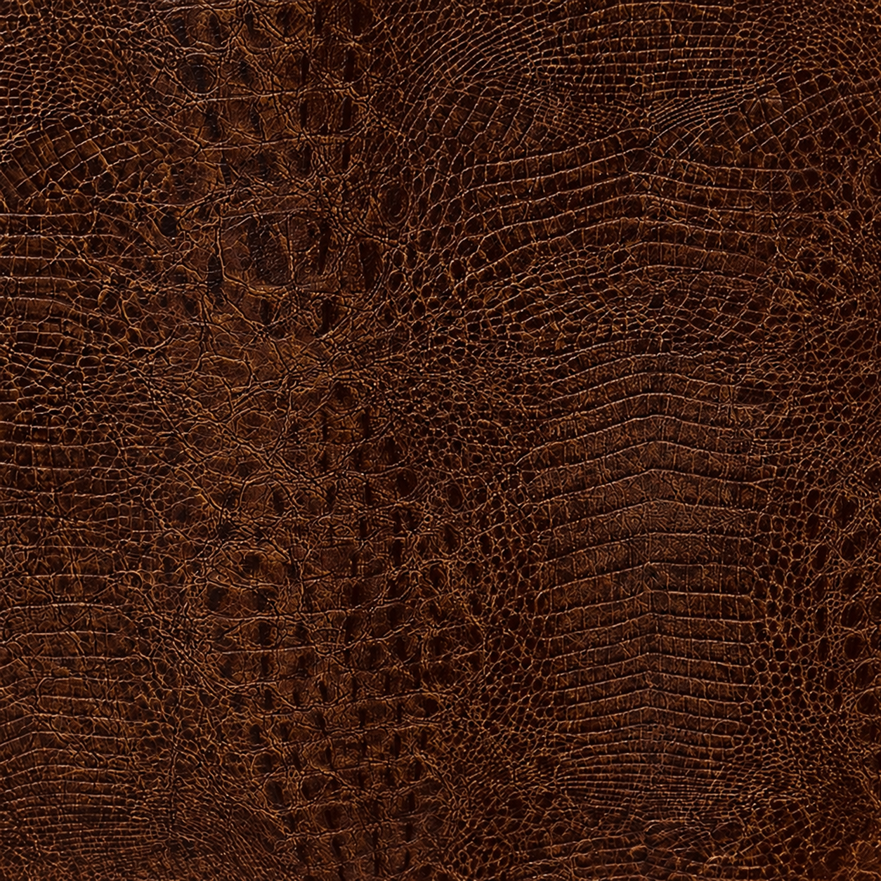 Muestra Rustic Croc
